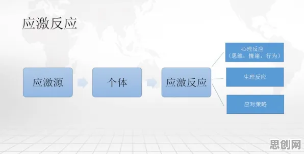 什么是压力应激反应？它如何解释人们越来越难以专注这一现象