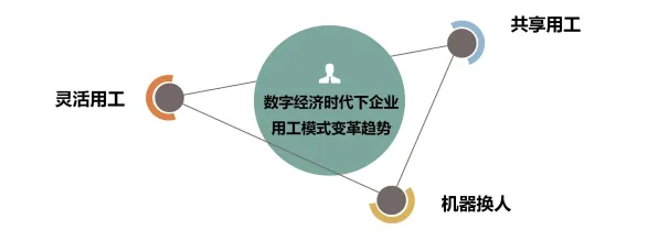 数字员工应用的真相，回归算法揭示了我们忽视的关键