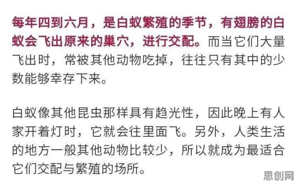 用民俗学的方法应对大模型技术爆发，很多人还没意识到