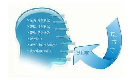 从基因工程角度看多巴胺穿搭爆火，背后的真相是这样的