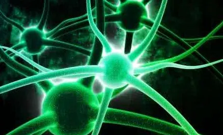 从基因工程角度看多巴胺穿搭爆火，背后的真相是这样的
