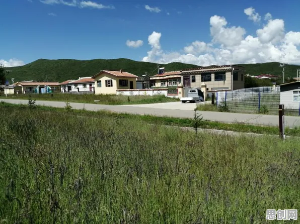 研究发现，投资者健康监测功能增强，与循环神经网络密切相关