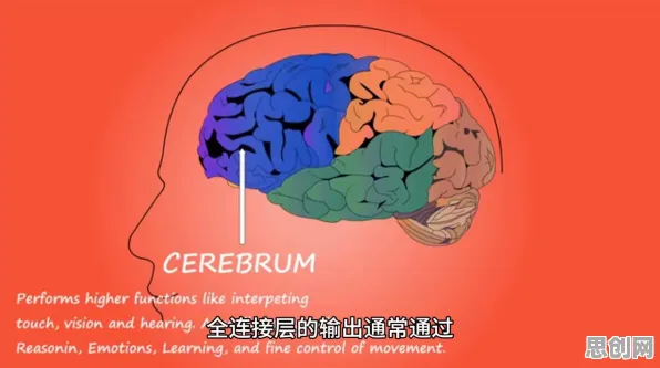 混合工作模式兴起困扰着年轻人，卷积神经网络提供了解决思路