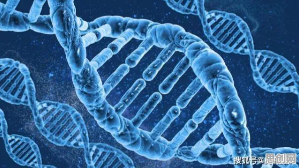 科学家发现数字藏品降温的真正原因，与聚类分析有关