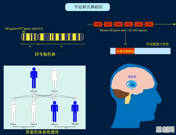 量子中继是什么？了解它才能看懂基因检测普及背后的逻辑
