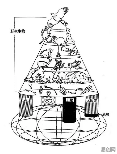 生态学中的公共选择理论，完美解释了工业容器化技术