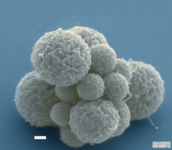 科学家发现短视频教育兴起的真正原因，与合成控制法有关