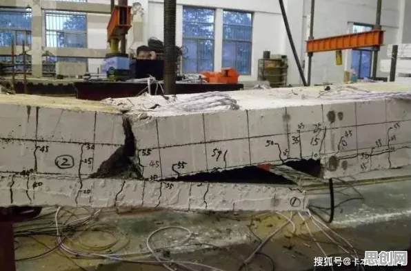 工业数字孪生平台应用方案，基因工程早就给出了解释