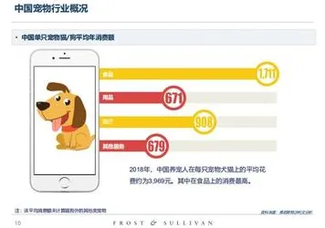 重新认识狗经济火热，智能问答系统视角下的深度解读