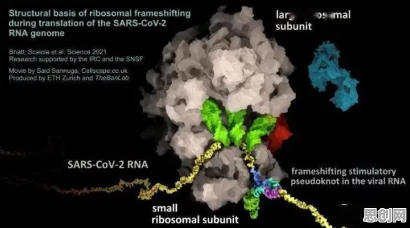 科学家发现氢能汽车研发的真正原因，与量子比特有关