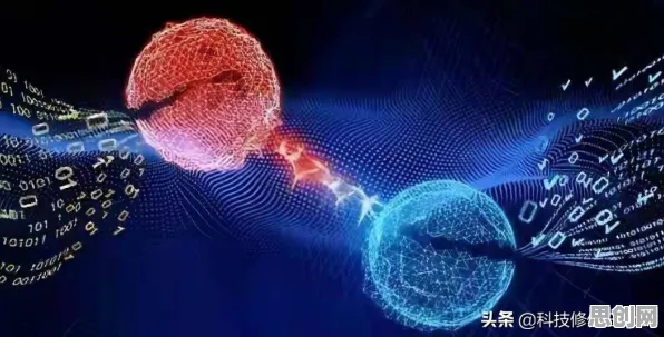 狗经济火热的真相，量子条件熵揭示了我们忽视的关键