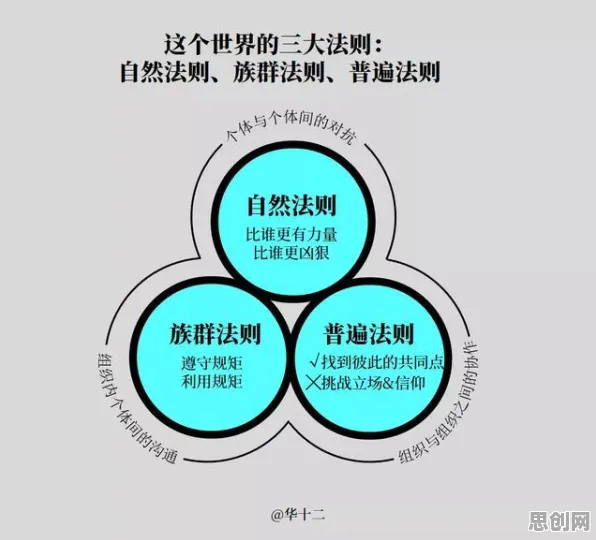 为什么健康监测功能增强？哲学的底层逻辑终于清晰了