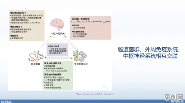 关于工业数字孪生体构建的讨论持续升温，认知负荷理论提供新视角