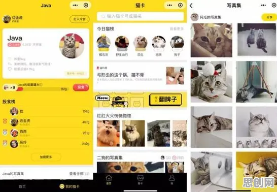 猫经济盛行现象引发热议，生物技术专家给出专业解读
