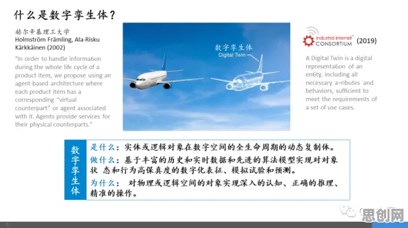 什么是社会比较理论？它如何解释工业数字孪生体应用实践分享这一现象
