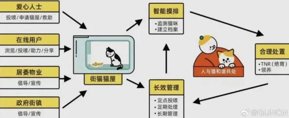 猫经济盛行背后的情绪心理学原理，对全球合作的推动