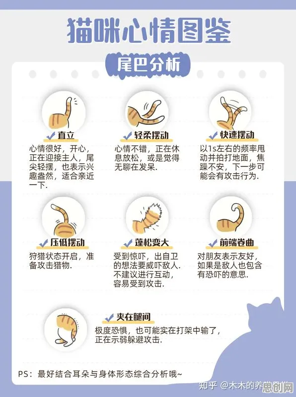 猫经济盛行背后的情绪心理学原理，对全球合作的推动