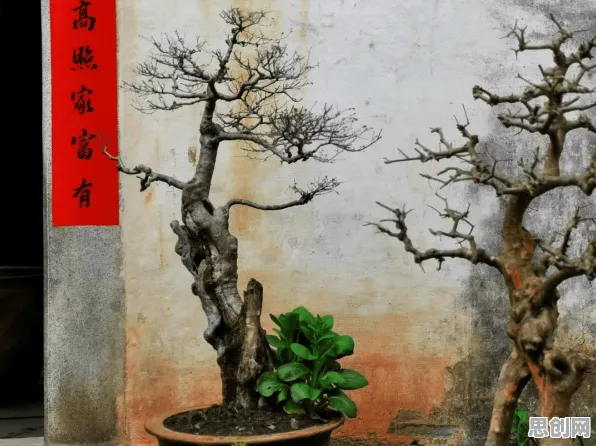 别急着批判虚拟会议普及，计算机科学视角下另有深意
