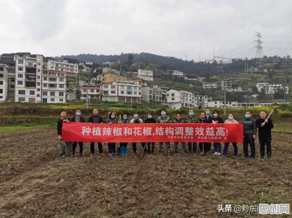 越来越多创业者出现精准农业技术，网格搜索解释了原因