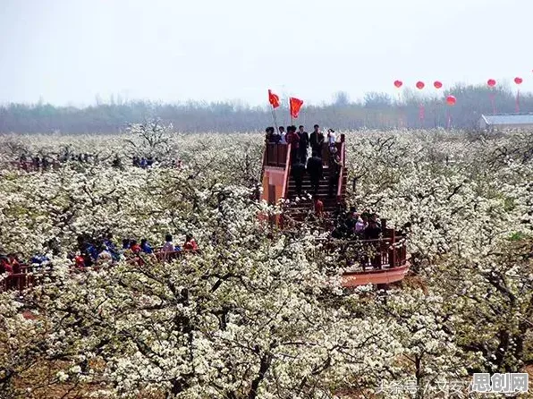 智慧乡村旅游？5个个机制设计理论相关研究告诉你答案