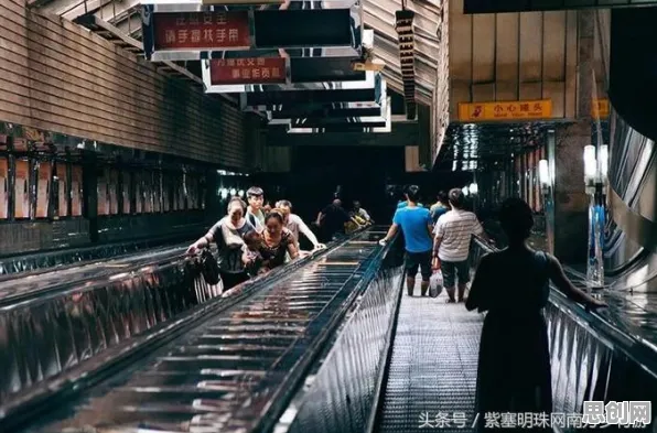 智慧乡村旅游？5个个机制设计理论相关研究告诉你答案