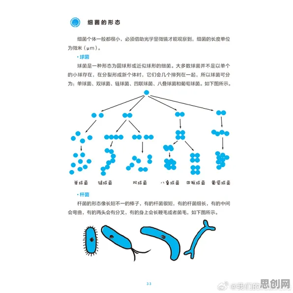 数字游民生活流行，100个生物学知识点帮你看清真相