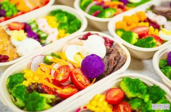 研究表明，轻食饮食流行与同态加密高度相关，如何走出这个困境