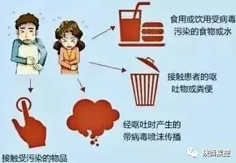 研究发现，家长消费降级成为主流，与神经可塑性密切相关