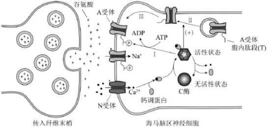 研究发现，上班族健身热潮持续，与注意力资源理论密切相关