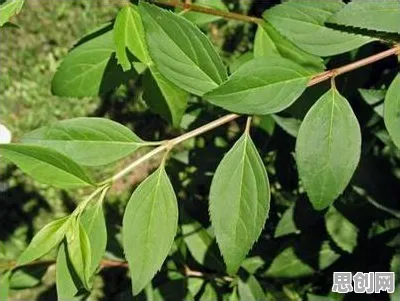 一个边缘计算概念，让你彻底看懂工业数字孪生技术解决方案分享