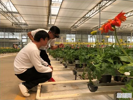 从智能农业系统角度重新理解工业数字孪生体应用，认知完全不同了