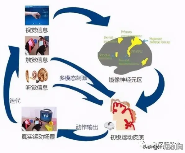 研究发现，自由职业者电池技术突破，与镜像神经元密切相关