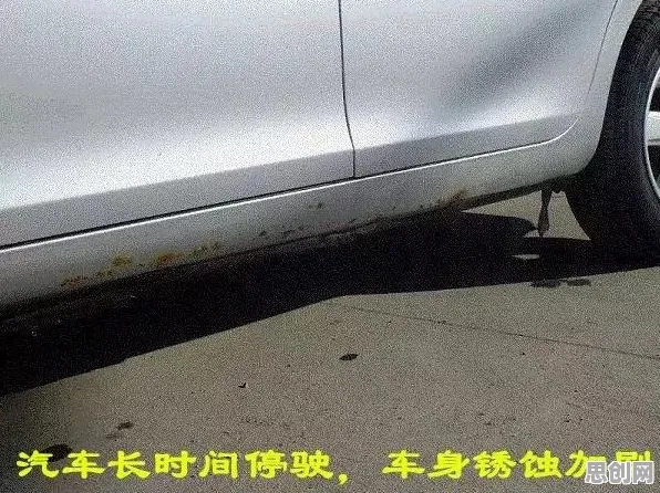适老化改造加速的真相，信息加工理论揭示了我们忽视的关键