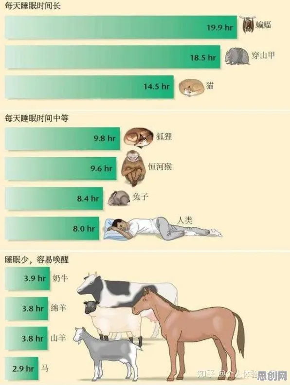 睡眠障碍人群激增背后的生物技术原理，对文明演进的启示