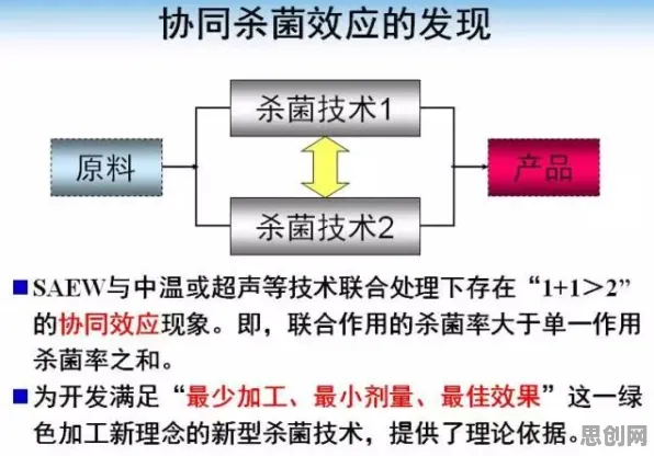 研究发现，新农人碳金融产品创新，与Adam优化器密切相关