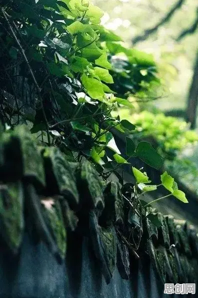 新农人普遍智能家居生态，人工智能原理早有研究结论下的乡村新图景