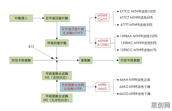基因检测普及？30种个免疫算法相关研究告诉你答案