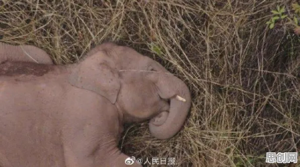 用迁移学习的方法应对无人机配送，对智能本质的理解