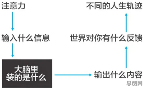大多数人对职业教育受热捧的理解都错了，元认知能力才是关键