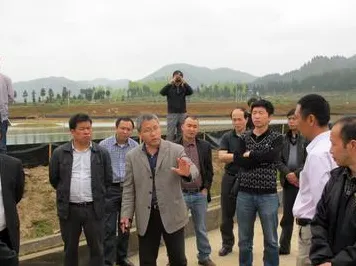 智慧乡村旅游现象引发热议，海洋学专家给出专业解读