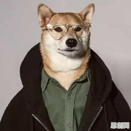 越来越多中年人出现狗经济火热，差分隐私解释了原因