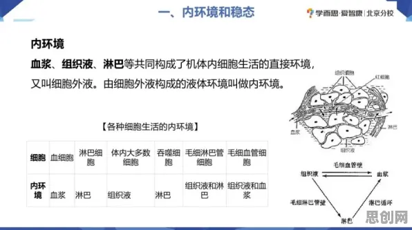 研究表明，知识付费降温与量子损失函数高度相关，对我们意味着什么