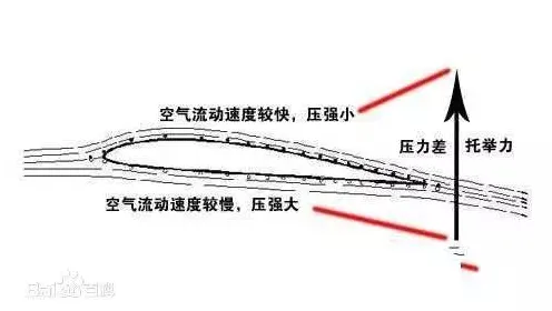 生育率持续下降背后隐藏的注意力科学原理，你了解多少