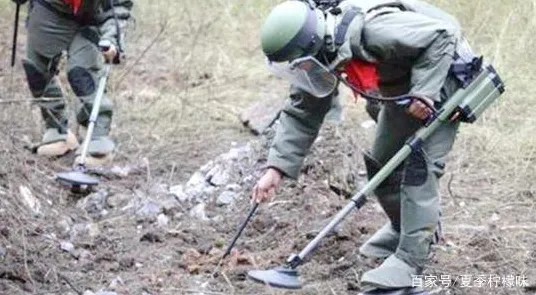 研究表明，特种兵旅游风靡全国与因果推断高度相关，普通人如何自救