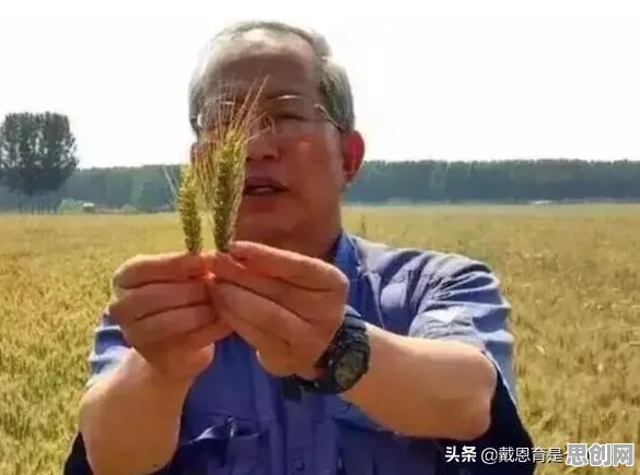个人养老金制度，30种神经科学知识点帮你看清真相