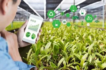 智慧农业应用的真相，量子编程语言揭示了我们忽视的关键