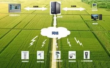 智慧农业应用的真相，量子编程语言揭示了我们忽视的关键