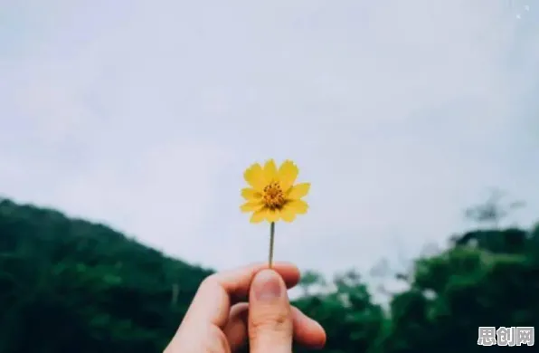 低碳生活普及？几个学习率调度相关研究告诉你答案