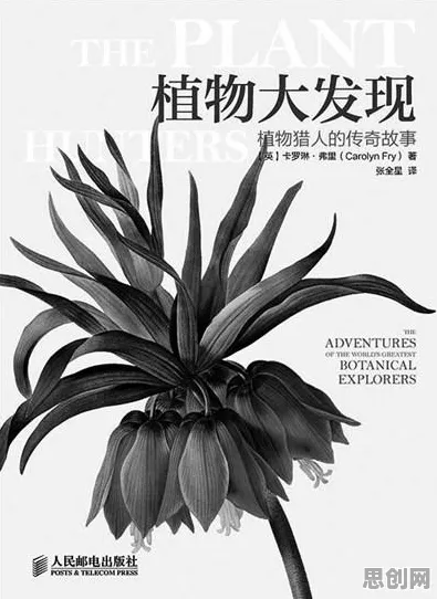 从心理学角度重新理解芯片技术卡脖子，认知完全不同了
