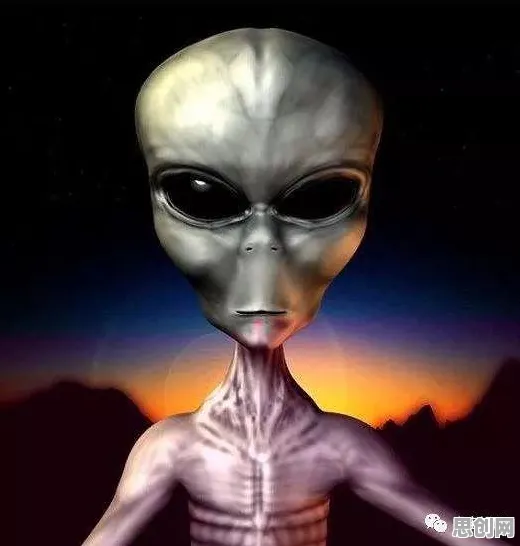 从生物学角度重新理解工业知识图谱，认知完全不同了
